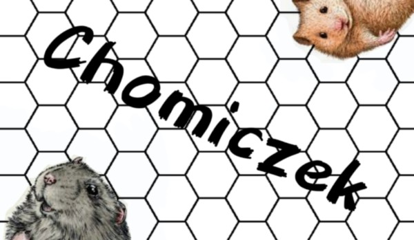 Chomiki dżungarskie-test