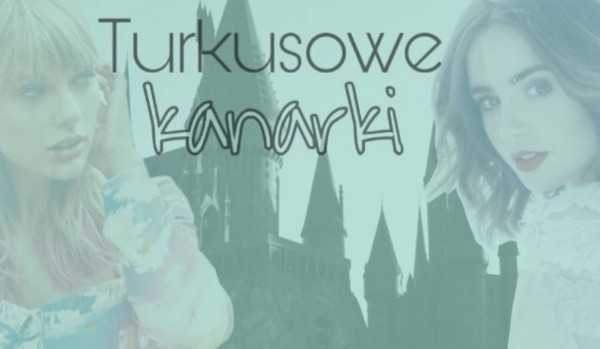 Turkusowe Kanarki #5