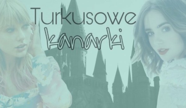 Turkusowe Kanarki #4