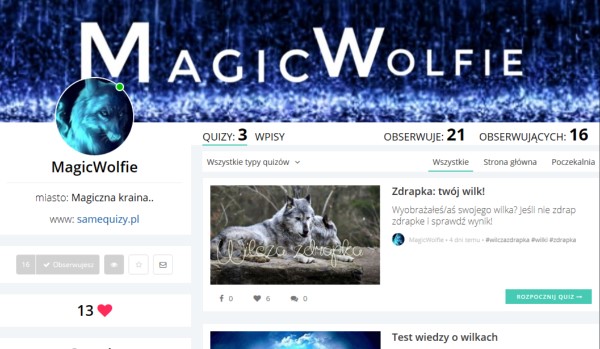 Ocenianie profili #8 @MagicWolfie
