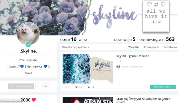 Ocenianie profili #7 @.Skyline.