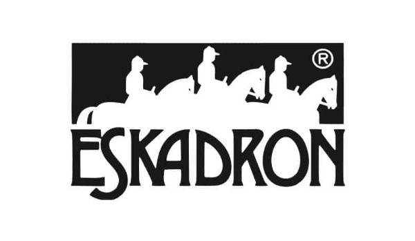 Jaki to eskadron?