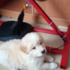 lamil_69