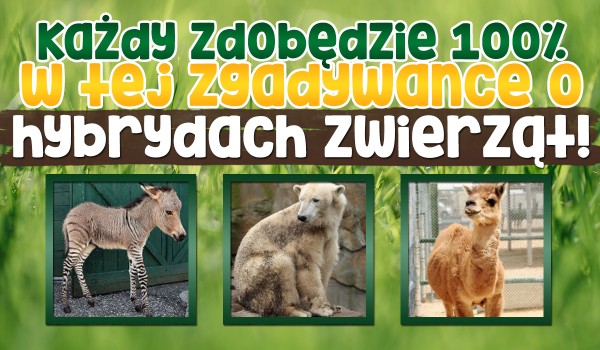 Każdy zdobędzie 100% w tej zgadywance o hybrydach zwierząt!