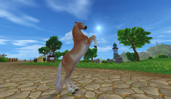 Moje zdjęcia z sso 2#5