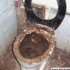 KotusMarjus_Bubuhalibubu