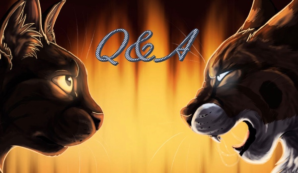 Q&A – Pytania od @Biala_Furia