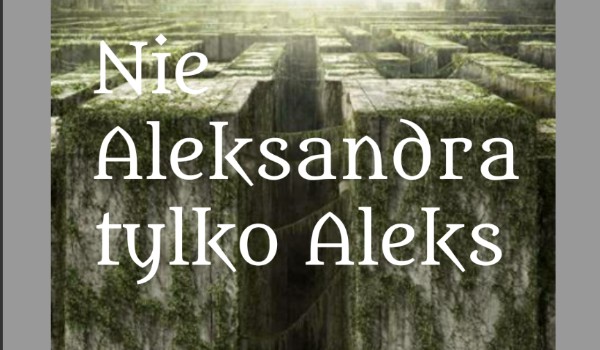 Nie Aleksandra tylko Aleks #2