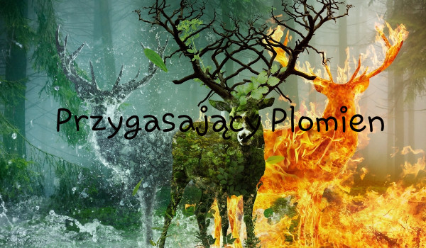 Przygasający płomień~1