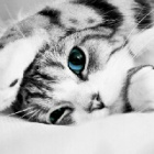 milka_._.123
