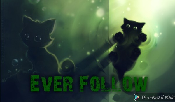 Ever follow no.91 @KociPrzywodca121