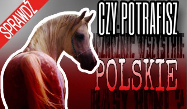 Czy potrafisz wyróżnić wszystkie POLSKIE rasy koni ?