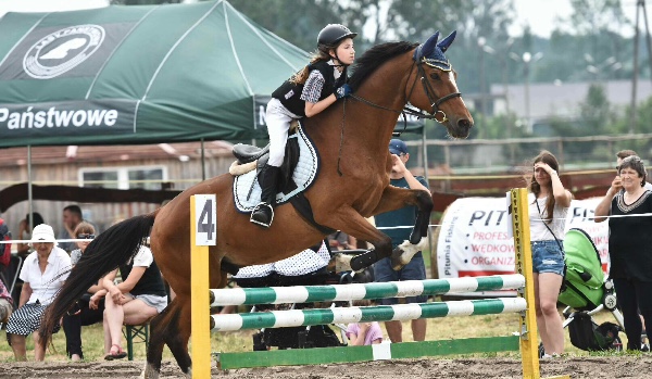 Test z wiedzy o jeździectwie