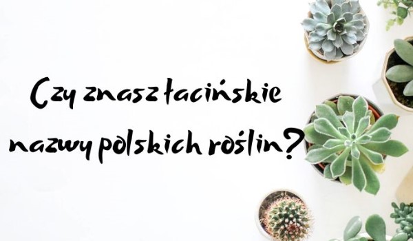Czy znasz łacińskie nazwy polskich roślin?