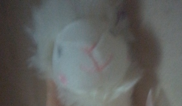 Historia Eve Zgadniesz czy nie?