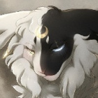 Xx_Warrios_Cats.PL_xX