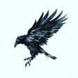 Crow_gaming_PL