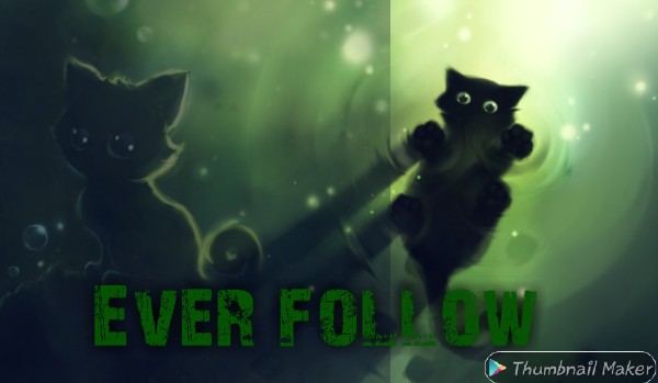 Ever follow no.96 @_Srebna_Gwiazda_