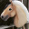 Hobbyhorsing_pl