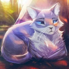 Fanklub_..Lenikotta..