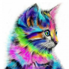_Rainbow_Cat_
