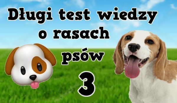 Długi test o rasach psów 3