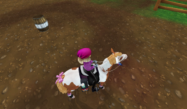 Moje zdjęcia z sso 2#9