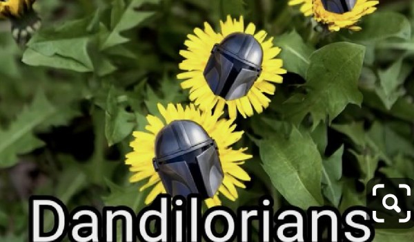 Memy z mojej klasy #9