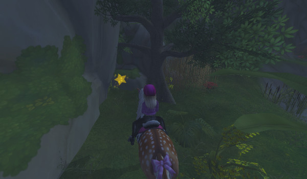 Moje zdjęcia z sso 2#8