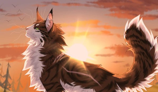 Klan Burzy – Zapisy