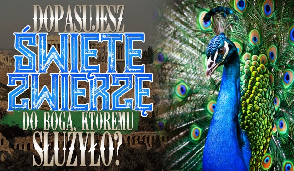 Dopasujesz święte zwierzę do boga, któremu służyło?
