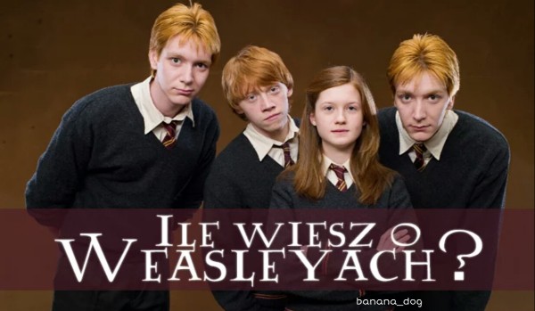 Ile wiesz o Weasleyach?