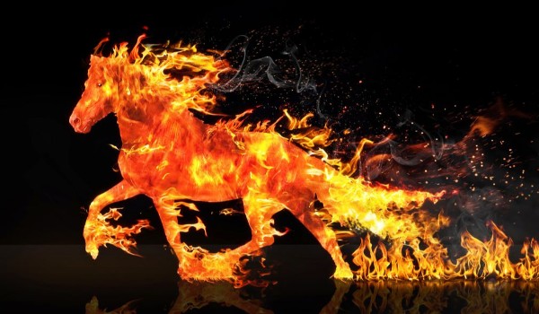 jak dużo wiesz o koniach