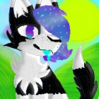 StarLunaMoon