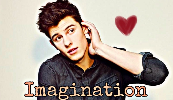 Imagination || Shawn Mendes #3