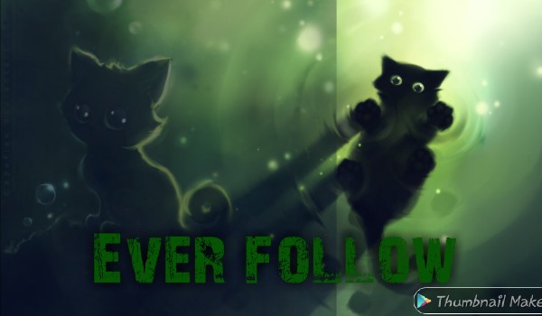 Ever follow no.109 @LittleNio