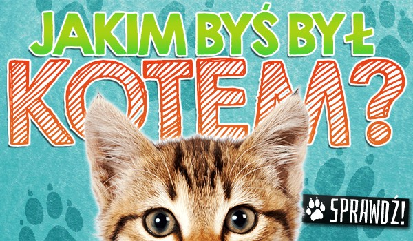 Jakim kotem byś był?