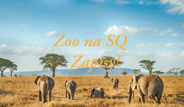 Zoo na SQ – Zapisy