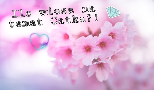 Ile wiesz na temat Catka?