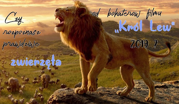 Czy rozpoznasz prawdziwe zwierzęta od bohaterów filmu ,,Król Lew” 2019?