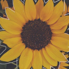 SunflowerUvU