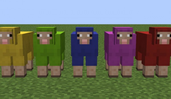 Jak dobrze znasz Minsomniaha?