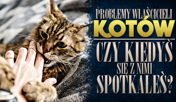 Problemy właścicieli kotów – czy kiedyś się z nimi spotkałeś?