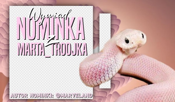 Wywiad Nominka z Marta_Troojka