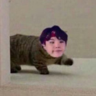 Yoongi-is-a-real-cat