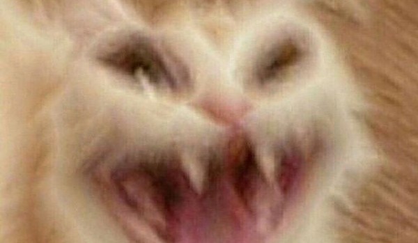 Jedzenie po angielsku