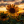 Golden_Sunflower