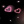 _Moon_Rouse_Jest_Naj_Lepsza_