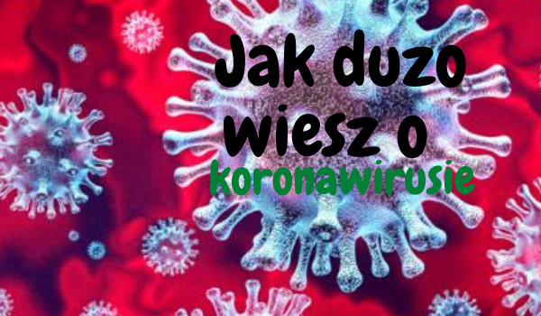 Jak dużo wiesz o koronawirusie?|| Prawda/Fałsz