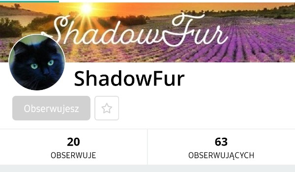 Ocenianie profilu @ShadowFur
